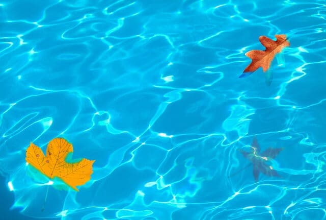 Fall swimming pool fall leaves in a swimming pool