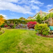 Backyard Oasis